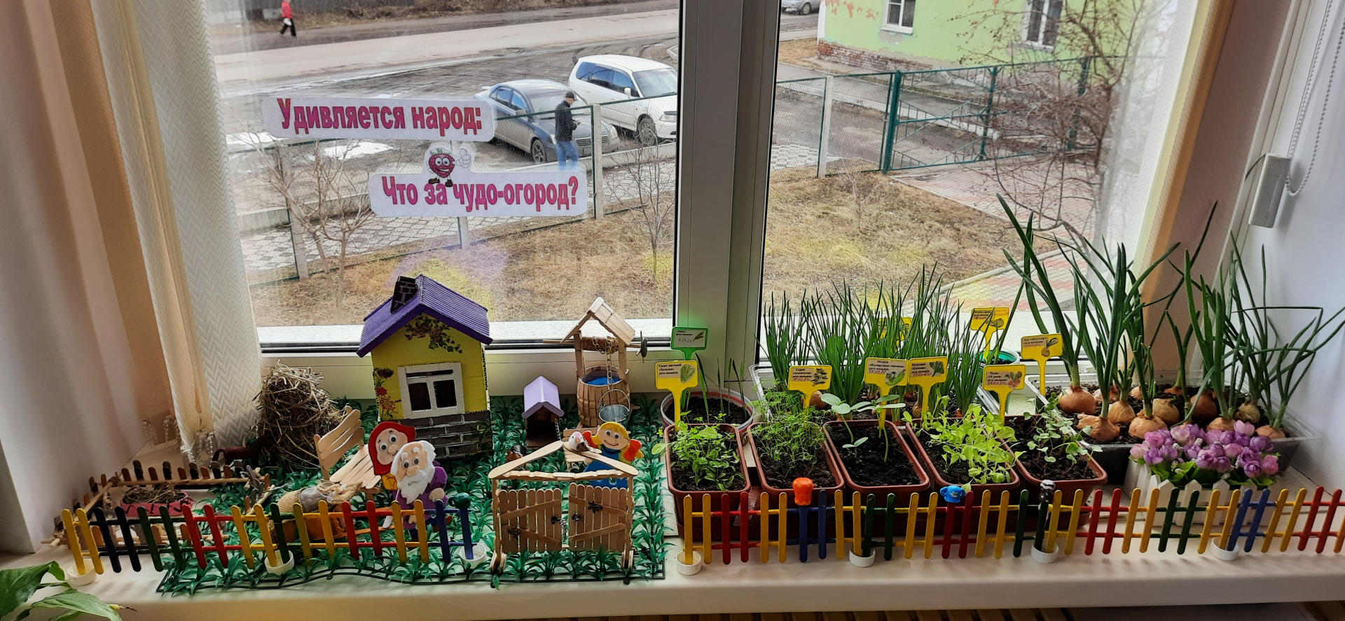 Огород на окне. Конкурс огород на окне. Конкурс огород на подоконнике в детском саду. Огород на окне название.